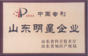 荣誉证书
