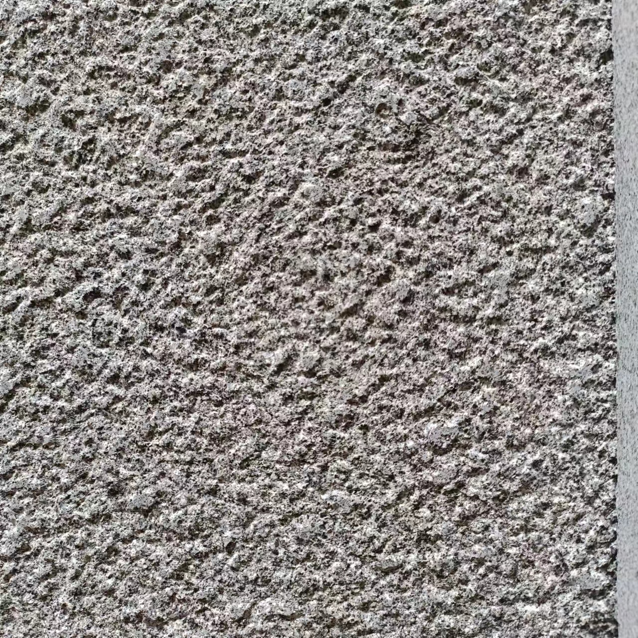 芝麻黑荔枝面价格